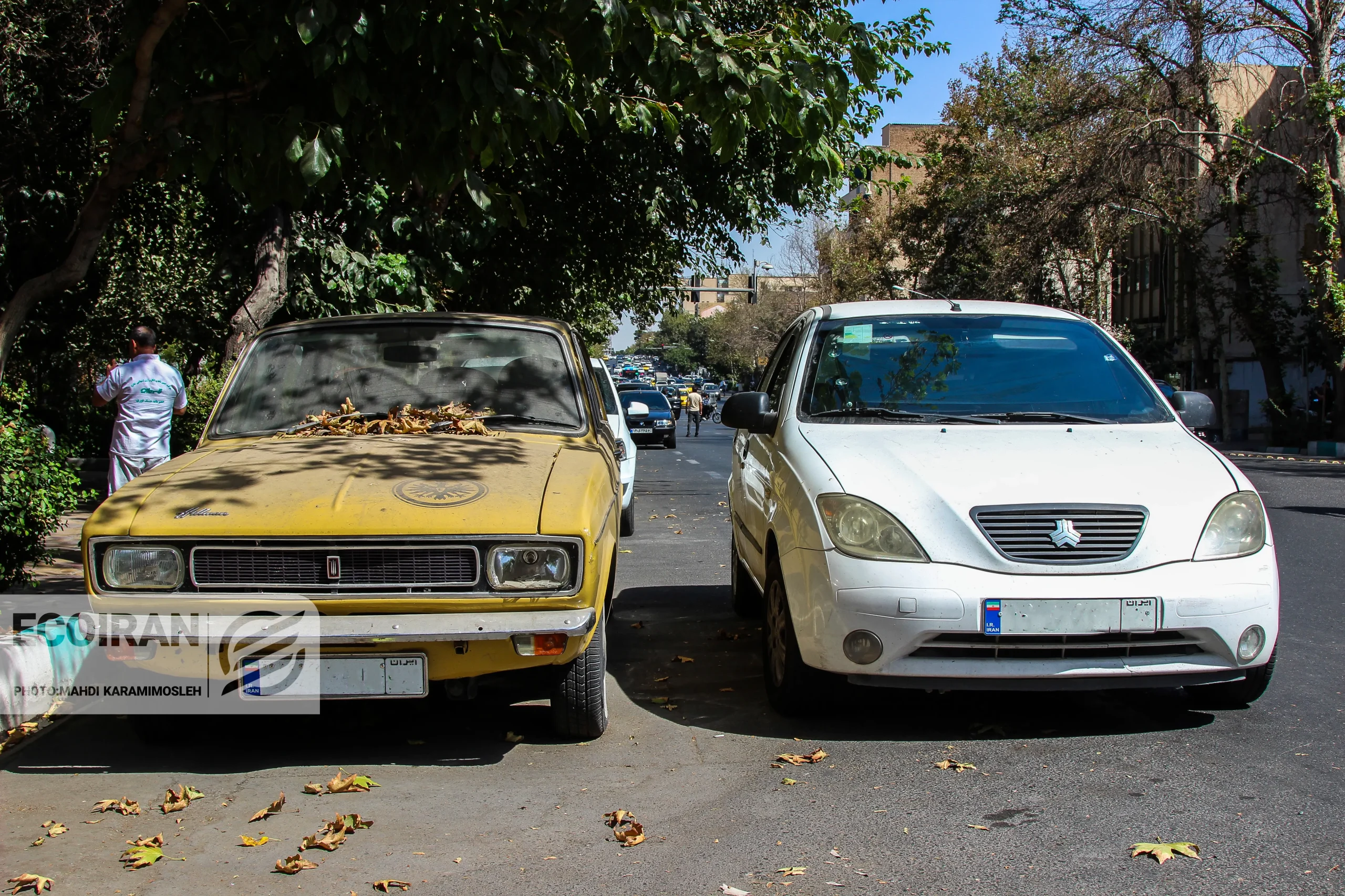 بازار خودرو