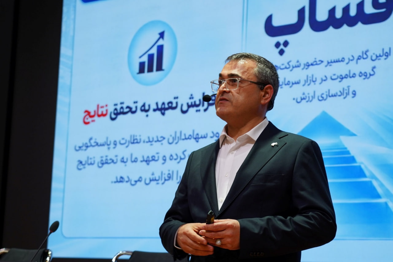 ظرفیت صنعتی پشت برنامه رشد
