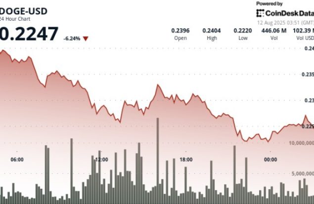 افت 7٪ قیمت دوج کوین به سمت پشتیبانی 22 سنت در فروش با حجم بالا