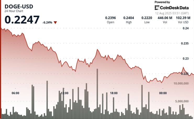 افت 7٪ قیمت دوج کوین به سمت پشتیبانی 22 سنت در فروش با حجم بالا