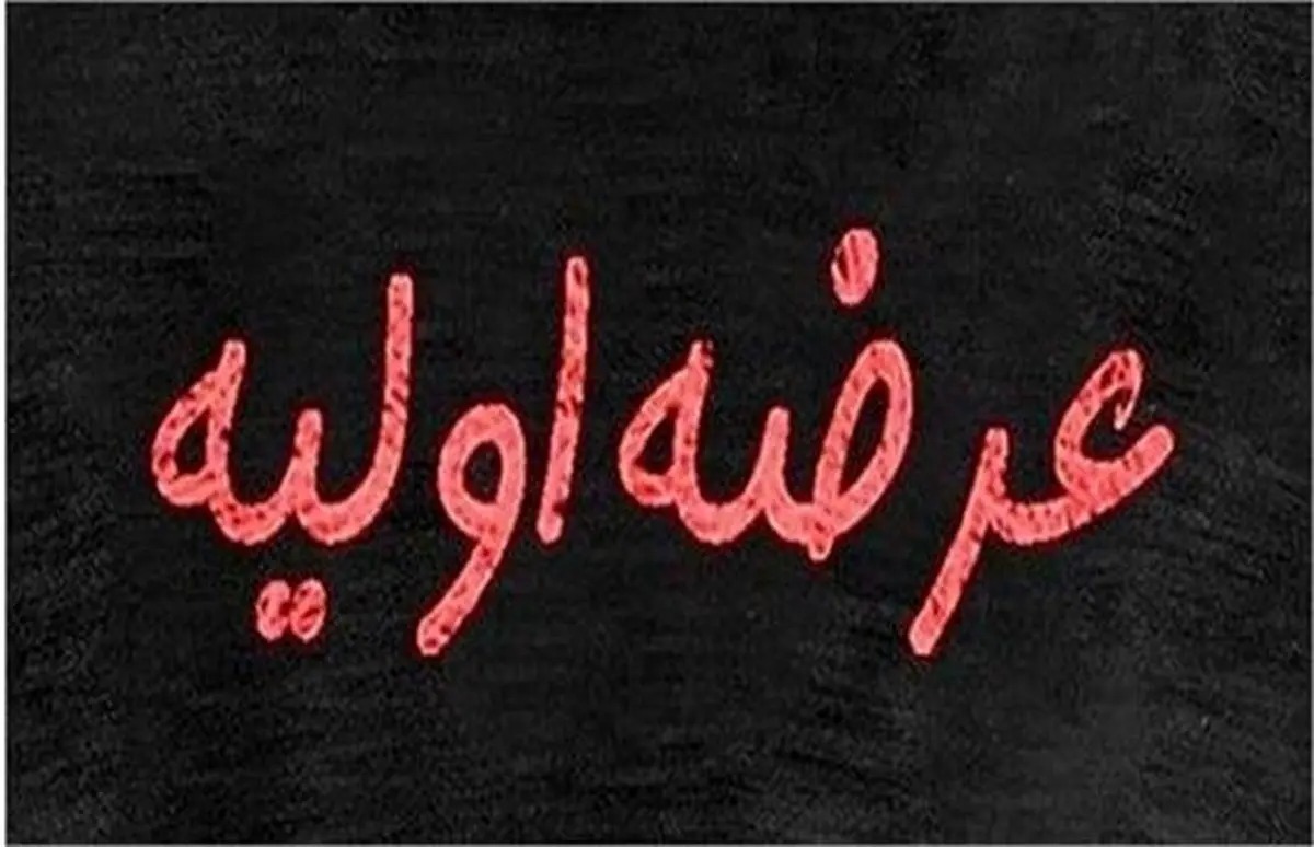 جزئیات عرضه اولیه اروند/ سهامداران بورس بخوانند