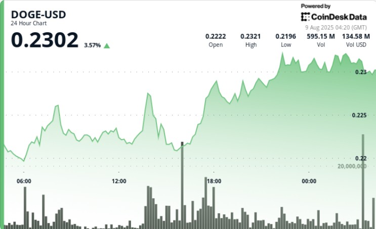 حمله نهنگ‌ها دوج‌کوین را به مرز انفجار رساند؛ آیا سد 0.23 دلار فرو می‌ریزد؟