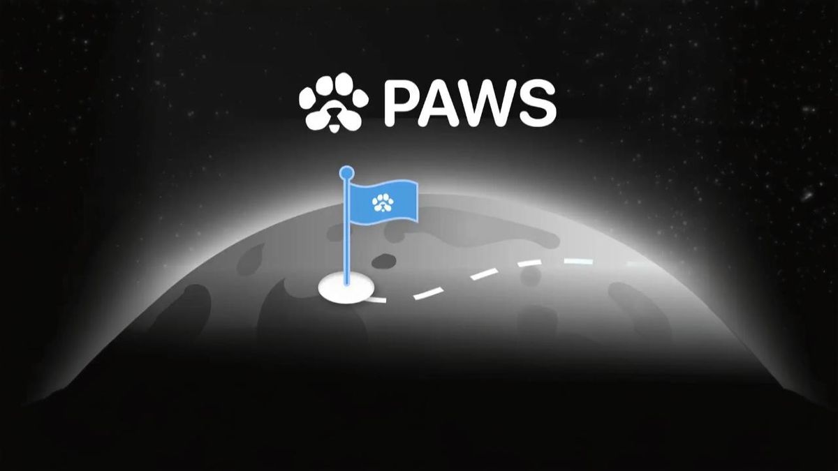 توکن ایردراپ پاوز (PAWS) به‌زودی لیست می‌شود!