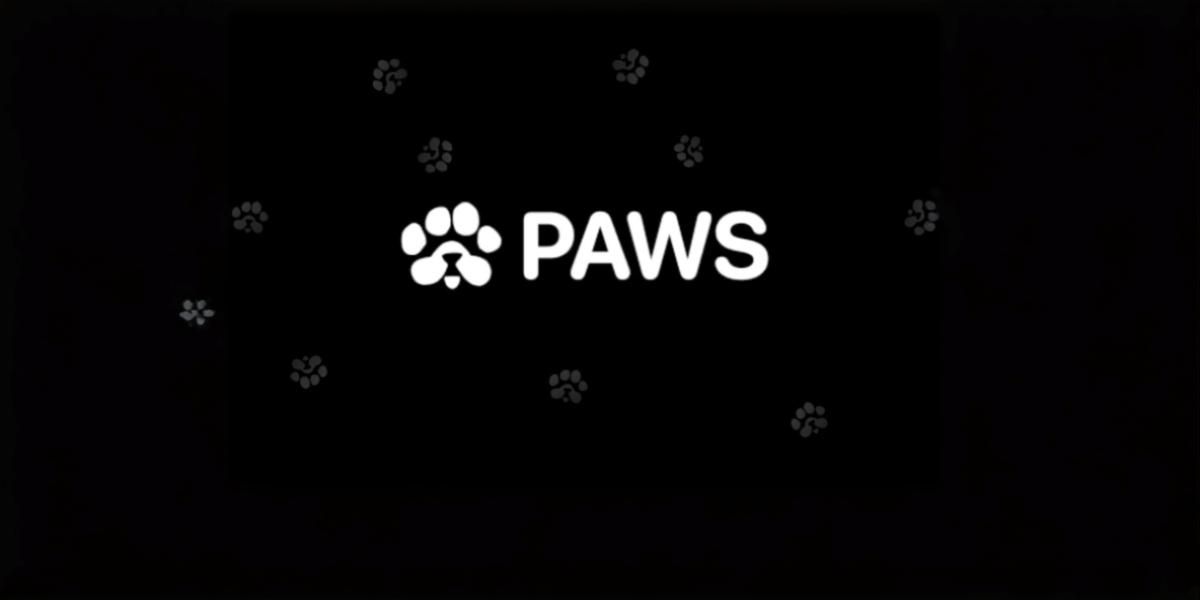 توکن ایردراپ پروژه PAWS لیست شد