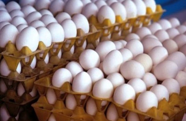 قیمت هر کیلو تخم‌مرغ چند شد؟/نرخ جدید درب مرغداری اعلام شد