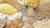 محدودیت واردات از طریق بنادر جنوبی کشور / اولین محموله نهاده دامی نیز از بنادر شمالی وارد کشور شده است