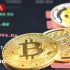 قیمت رمزارزها امروز پنجشنبه ۱۱ تیر ۱۴۰۵ | بیت‌کوین و اتریوم صعود کردند