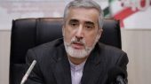 پیرصالحی: حمایت از داروی ایرانی به نفع بیماران است