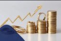 قیمت ربع‌سکه زیر ذره‌بین؛ چرا خریداران خرد باید محتاط‌تر باشند؟