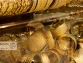 قیمت طلا و سکه امروز پنجشنبه 29مرداد/ افزایش تمام قیمت ها + جدول و جزئیات