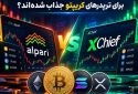 چرا بروکرهای فارکس مثل آلپاری و ایکس چیف برای تریدرهای کریپتو جذاب شده‌اند