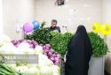 الزامات سبزی خوردن بستهبندی اعلام شد الزامات سبزی خوردن بستهبندی اعلام شد