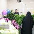 الزامات سبزی خوردن بسته‌بندی اعلام شد