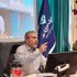 مدیرکل دامپزشکی اصفهان: موارد هاری گربه داریم؛ به گربه‌ها غذا ندهید